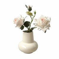 Round Belly Vase Sturdy Home Decoration Waterproof for Tabletop