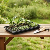 5 Pieces Propagation Tray without Holes Rigid Nursery Flats Crack-Resistant Plant Trays for Growers, Gardeners, Balcony Gardening