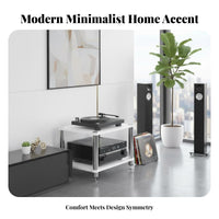 Stable and Long-Lasting High-Fidelity Amplifier Stand Heavy Duty Construction Shock Absorption Audio Rack Easy to Assemble Audiovisual Equipment Shelf Abrasion Resistant for Audiophiles, Home Theater, Listening Room