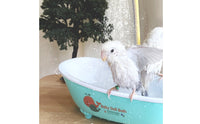 Summer Cooling Electric Bird Shower Tub Easy to Clean Circulating Bird Bath Safe Material Parrot Bath Tub Quiet Pump for Parrots, Small Birds, Budgies