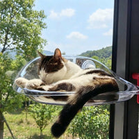 Window Cat Perch with Transparent Dome, Suction Cup Cat Bed and Hammock for Indoor Sunbathing, Strong 3 Cups Sturdy Non-Foldable Elevated Seat