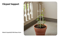 Garden Obelisk Support Frame Metal Construction Flower Climbing Rack Weather Resistant Climbing Plant Support Cage for Balcony, Outdoor, Patio
