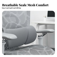 Highspine Ergonomic Seat with Headrest Reclining spinerest for work-from-home Workers