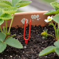 Thickened Body Strawberry Runner Rooting Pot Long-Lasting Strawberry Propagation Cup Space-Saving for Gardeners, Garden, Greenhouse