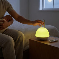 Two-colorColor Fungus Night Light Cordless Rechargeable Night Light Fungus Lamp
