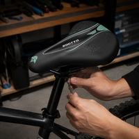 bicycle saddle