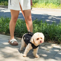 Pet Carrier Backpack for Small Dogs, Nylon Portable Pet Bag with Breathable Mesh, Front Cat Carrier with Shoulder Strap for Travel Hiking Use