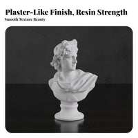 Sketching Practice Bust Compact Size Resin Plaster Cast Figure Highly Detailed Plaster-Like Bust Figurine for Interior Designers, History Enthusiasts