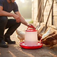 Grid Separation Design Automatic Chicken Feeder Long-Lasting PE Material Automatic Poultry Feeder Easy to Install and Clean for Backyard