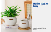 Self-Watering Planter, Thickened Resin, Round Matte Desktop Pot, Hydroponic or Soil, Minimalist Home Garden Design