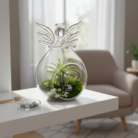 Angel Glass Terrarium Bottle for DIY Micro Landscape