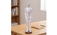 Human Acupressure Model Detailed Human Body Acupressure Model Freestanding Meridian Teaching Figure for Students, Classroom
