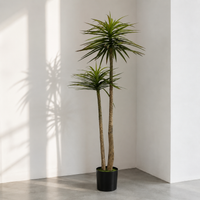 artificial plant arrangement