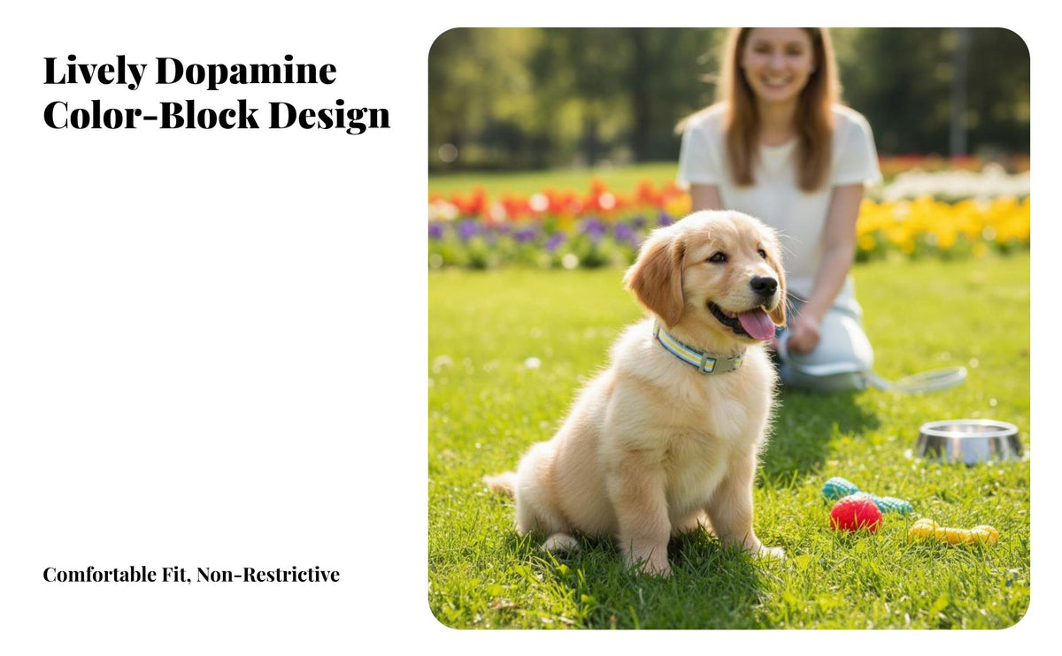Adjustable Dog Anti-Pull Adjustable Nylon Pet Comfortable Fit Reflective Dog Neckband for Puppy Owners, Everyday Wear, Training, Hiking