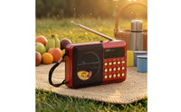 Numeric Keypad Portable Radio Telescopic Antenna Digital Radio Carrying Strap