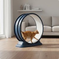 Anti Pinch Foot Design Indoor Feline Running Wheel Sturdy Base Feline Exercise Wheel Silent Operation for Home