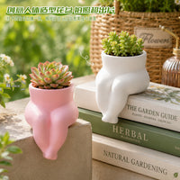 Lazy Chubby Legs Potted Cactus Succulent Plant for Living Room Balcony Office Desk