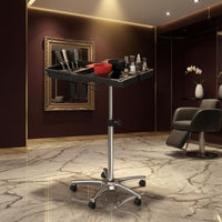 Rolling Salon Tray Cart Bowl Slots Height Adjustable Trolley Top Professional Storage for Stylists
