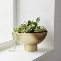 Gold Metal Planter with Pedestal Tabletop Bowl Planter Decorative Table Centerpiece Wide-Mouth for Indoor