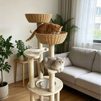 Multi-Level Cat Sisal-Wrapped Posts-Wrapped Soft Cat Climbing Structure Clear Round Inset Scratching Surface Structure