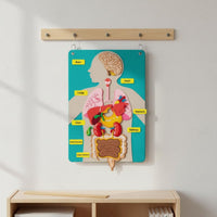 22 Pieces DIY Learning Organ Placement Busy Board Interactive Play Human Body Activity Set Early Education Human Structure Cognitive Chart 3D Organs for Homeschooling