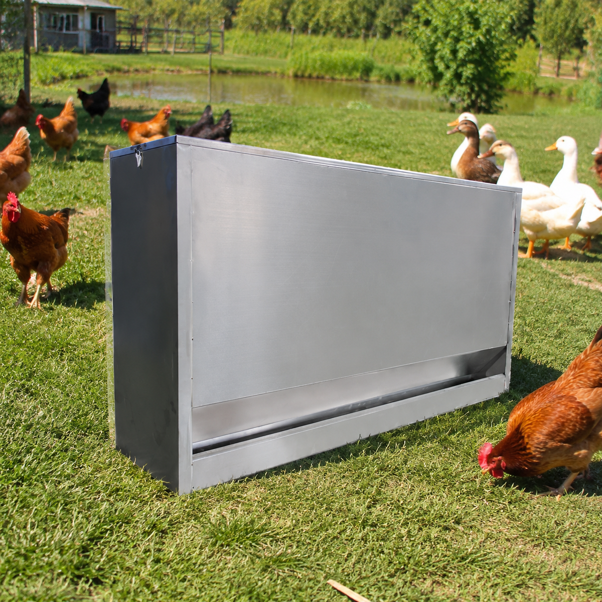 poultry feeder