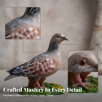 Feather Texture Turtledove Garden Statue Painted Eyes Resin Bird Statue Molded Base Bird Garden Ornament Standing for Courtyard, Landscape