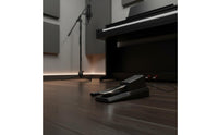 Polarity Switch Sustain Pedal Non-Slip Design Electronic Piano Pedal Classic Design Musical Instrument Accessory for Pianists, Keyboardists, Music Producers, Home Practice, Studio, Stage Performance