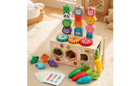 Sorting and Stacking Toy Fine Motor Wooden Sorting Toy Shape Sorter Educational Toys Non for Toddlers, Playroom, Daycare