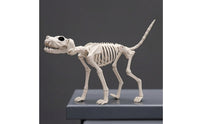 Dog Skeleton Standing Skeleton Dog Realistic for Spooky Attraction