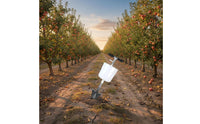 Orchard Long Handle Subsurface Feeder Dispenser Stainless Steel Subsurface Feeding Tool for Farmers, Gardeners