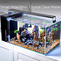 Desktop Glass Aquarium with Side Filter and LED Lighting