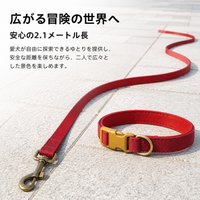Dog Leash and Collar Set, with Reflective Material, 2.1m Long Leash, Size S, for Daily Walks, Also for Night Use