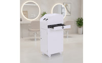 Salon Cabinet with Wheels Professional Salon Cabinet Enclosed Furniture for Hairstylists, Beauticians