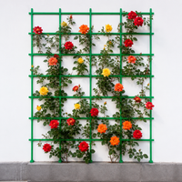 Trellis Iron Fence Clematis Support Green Garden Gardening Climbing Plant Training