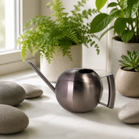 Long Spout Indoor Watering Can, Small Metal Watering Can 1000ml, Stainless Steel Spherical Design for Houseplants