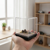 Diorama Base with Acrylic Cover Realistic Model Display Case with Terrain Transparent Miniature Scene Display for Home Decor