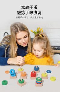 Wooden Color Sorting Column Toy for Kids, Montessori Educational Toy