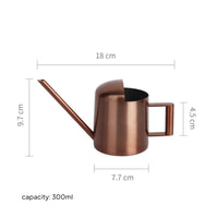 Mini Stainless Steel Watering Pot Lightweight Watering Can Mini Stainless Steel Waterer for Children