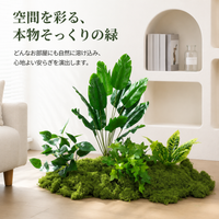 artificial plant arrangement