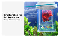 Guppy Fry Separation Tank High Clearness Buoyant Fish Hatchery Box 360° Viewing Aquarium Breeder Box