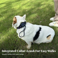 Dog with Retractable Leash Customizable Fit Retractable Leash Dog Quick Release Buckle for Outdoor Activities, Traveling, Night Walks