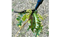 Detachable Stand up Weed Puller No Bending 4-Claw Root Remover Labor Saving Stand up Weeder All Steel for Gardeners, Seniors, Garden, Backyard