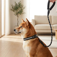 dog leash and collar set