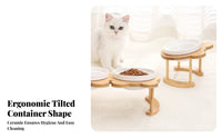 Cute Design Elevated Double Cat Bowls Easy to Clean Tilted Ceramic Pet Bowl Set Dishwasher Safe for Small Dog Owners, Indoor, Kitchen, Home