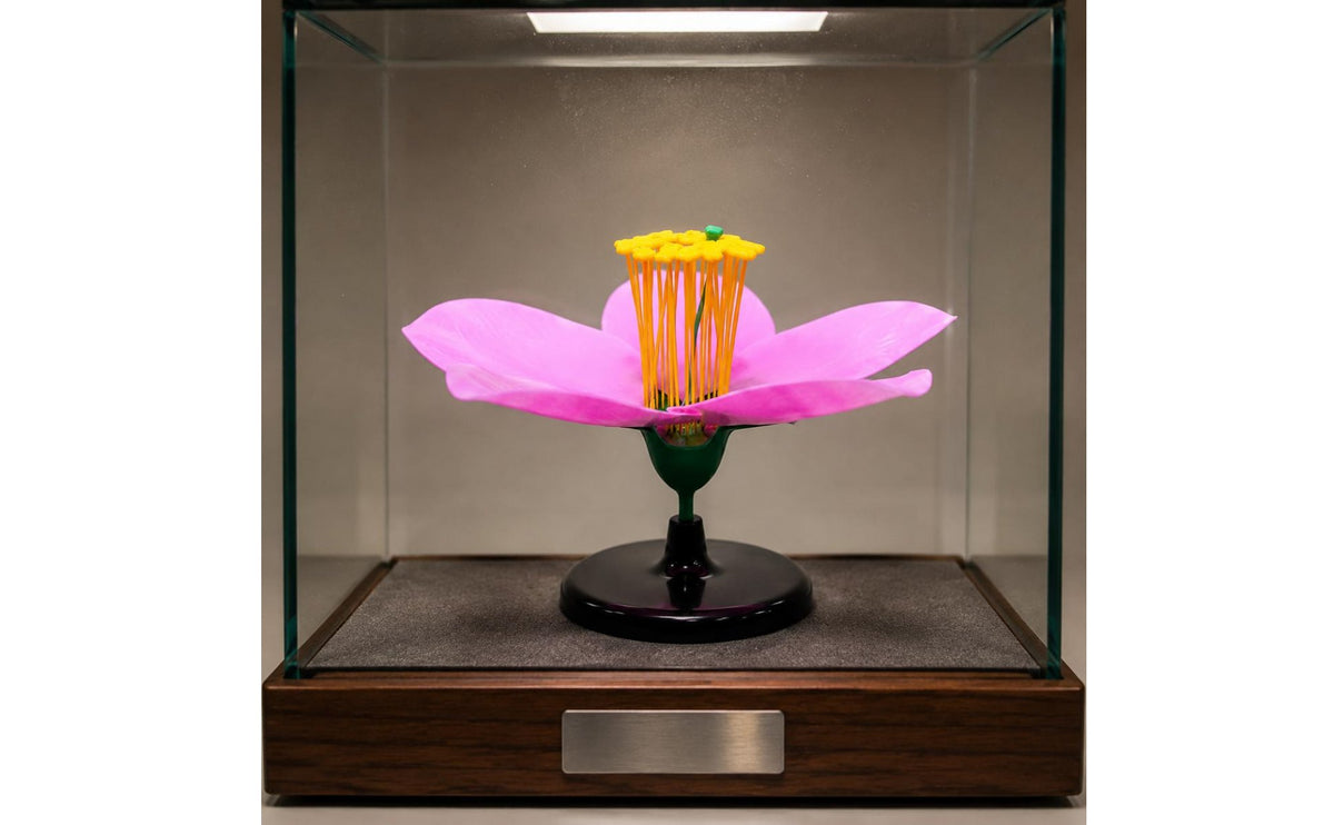Blossom Teaching Model Black Stand Flower Model Realistic Color for Teachers