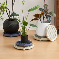 Mobile Plant Pot Tray with Wheels and Water Catch Basin