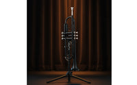B♭ Trumpets Beginner-Friendly Trumpets with Hard Case Student Brass Instrument for Beginners, Students, Practice