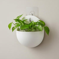 Drill-Effortless Installation Wall Hanging Planter Minimalist Design Wall Mounted Plant Pot Multipurpose Use Semi-Circular Hanging Pot
