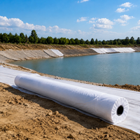 Black HDPE Composite Waterproofing Membrane, Non-Woven Pond Liner for Landscaping, Impermeable Geotextile Drainage Fabric